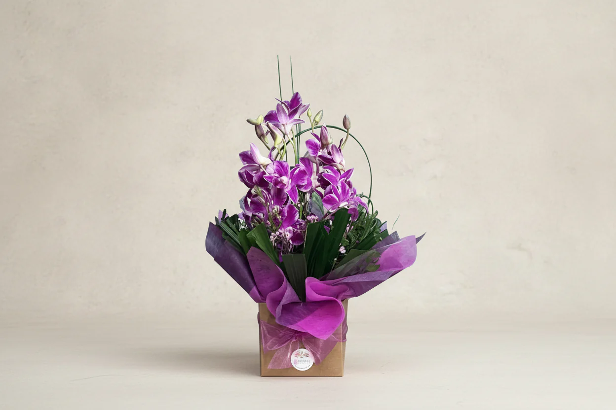 Belinda - Singapore Orchid Box - Medium